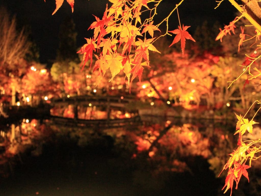 永観堂禅林寺が2020年11月7日～12月6日まで秋の夜間ライトアップ