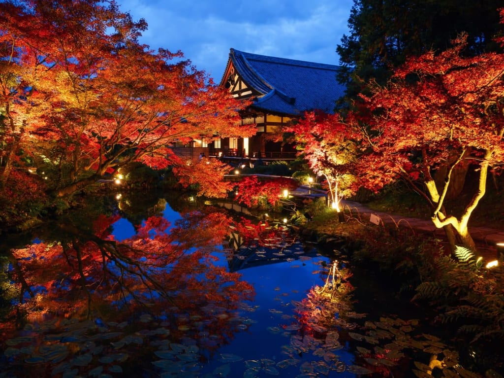 くろ谷金戒光明寺が11月13日(金)から特別夜間拝観開始