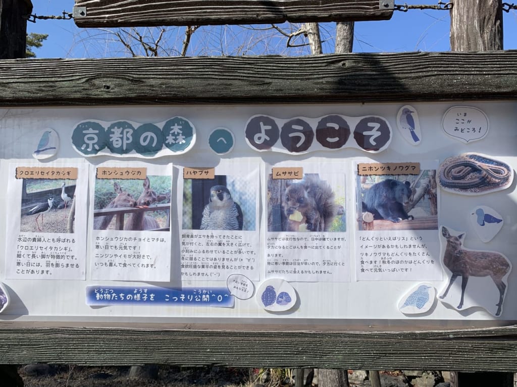 【京都市左京区】京都市動物園、Amazonほしいものリストで新しい寄付の形。