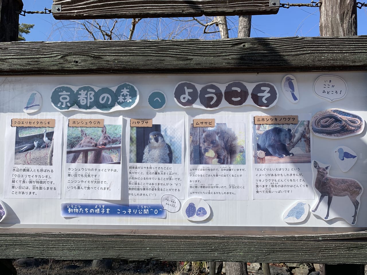 京都市動物園の動物紹介